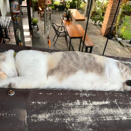 ครูหนูบ้านพัก แหลมงอบ Krunou Baanpak Trat Luaran gambar